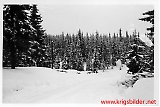 Filename=5k_kwl-181-348.jpg
Filesize=160KiB
Dimensions=1196x800
Date added=Mar 13, 2011 5k_kwl-181-348.jpg