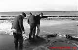 Filename=lnnachos-060.jpg
Filesize=371KiB
Dimensions=1200x770
Date added=Aug 07, 2009 lnnachos-060.jpg