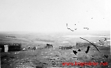 Filename=LWn3-169.jpg
Filesize=70KiB
Dimensions=1000x615
Date added=Jun 22, 2009 LWn3-169.jpg