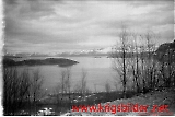Filename=neg-227.jpg
Filesize=77KiB
Dimensions=750x502
Date added=Jun 19, 2009 neg-227.jpg