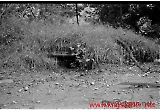 Filename=neg-879.jpg
Filesize=128KiB
Dimensions=1000x698
Date added=Sep 13, 2009 neg-879.jpg
