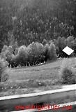 Filename=pol078.jpg
Filesize=145KiB
Dimensions=546x800
Date added=Jul 03, 2009 pol078.jpg
