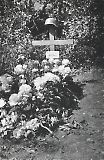 Filename=TGE18092021-110.jpg
Filesize=920KiB
Dimensions=781x1200
Date added=Sep 19, 2021 TGE18092021-110.jpg